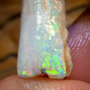 9.9cts - Opalised Belemnite Geological Specimen from South Australia
