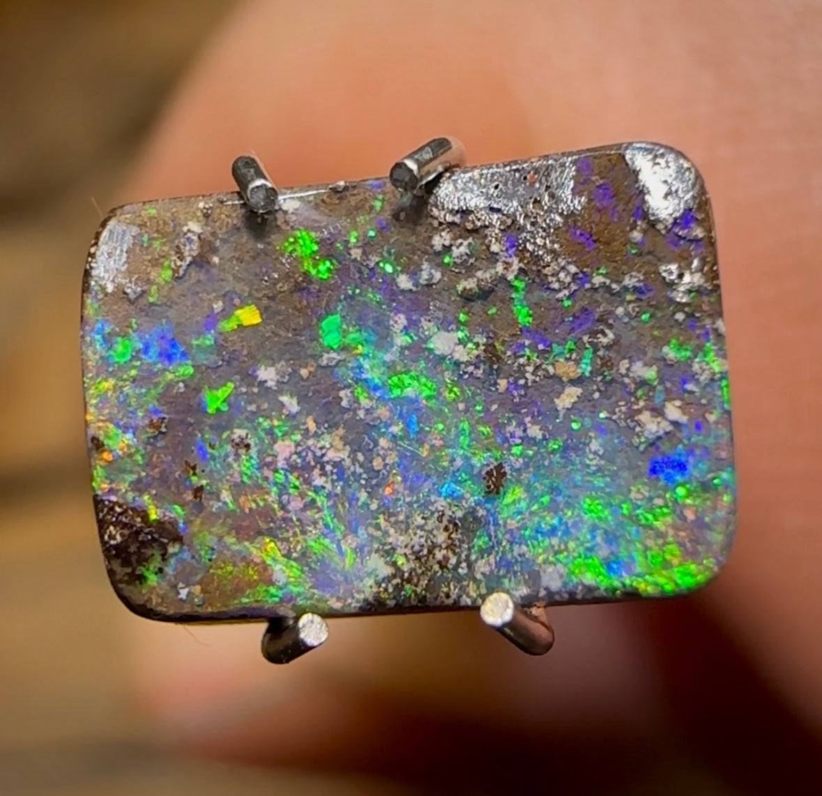 1.5cts - Solid Queensland Boulder Opal - Opal Whisperers