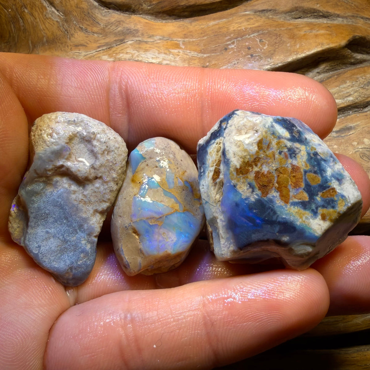 183cts - 3x Lightning Ridge Opal Rough Parcel