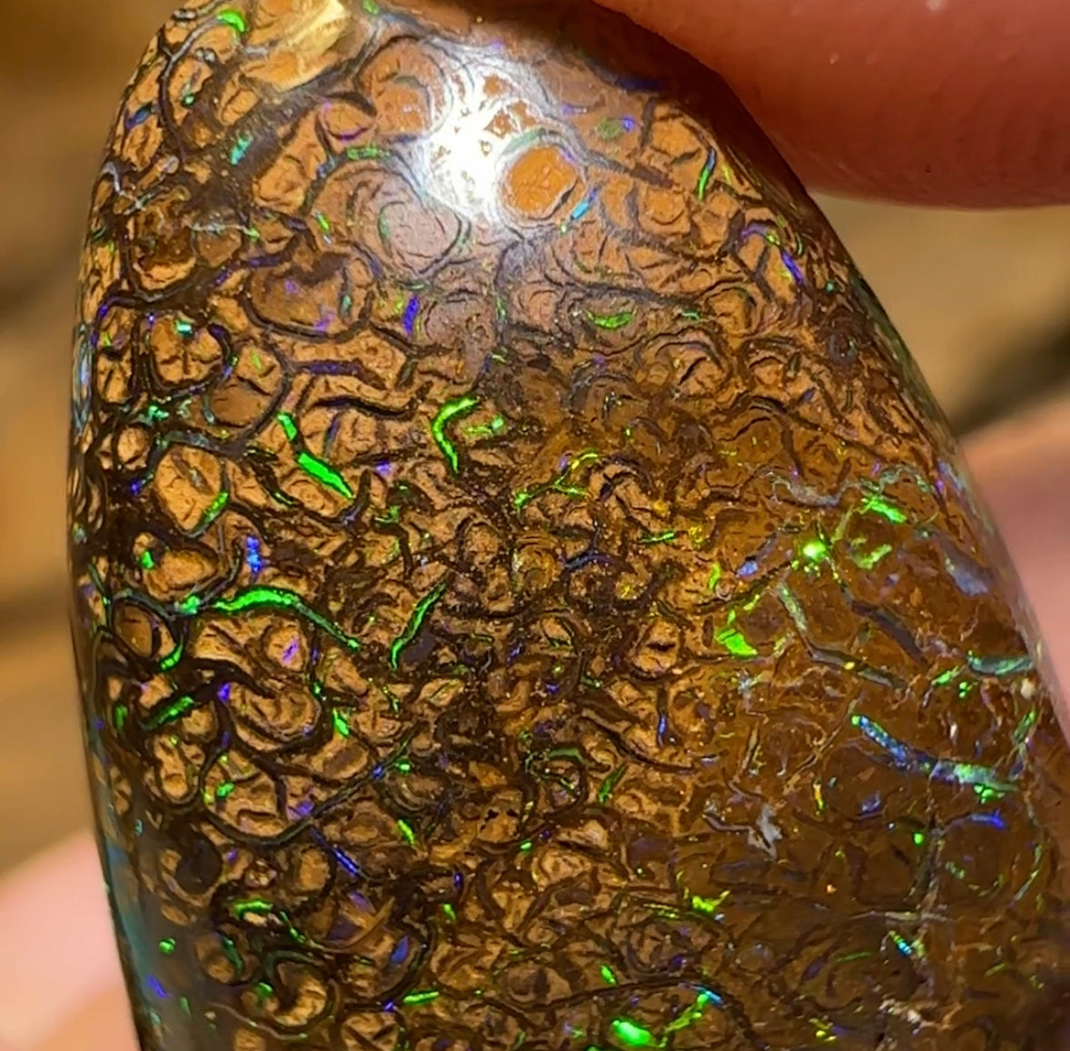 29.8cts - Yowah Boulder Opal. Australian Opal with Electric Tight Tan Tribal Pattern - Opal Whisperers