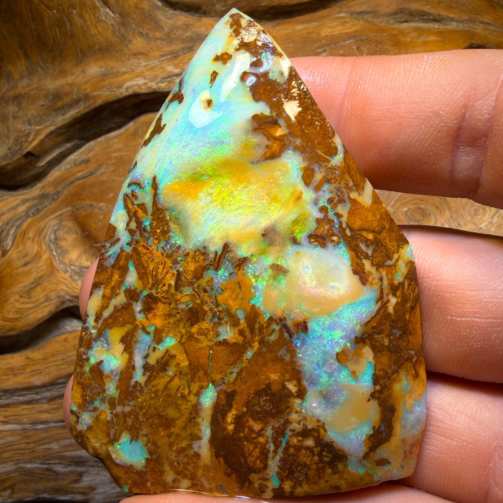 185.8cts - TOP Vegetation Fossil Replacement Boulder Opal Rub. Double Sided!