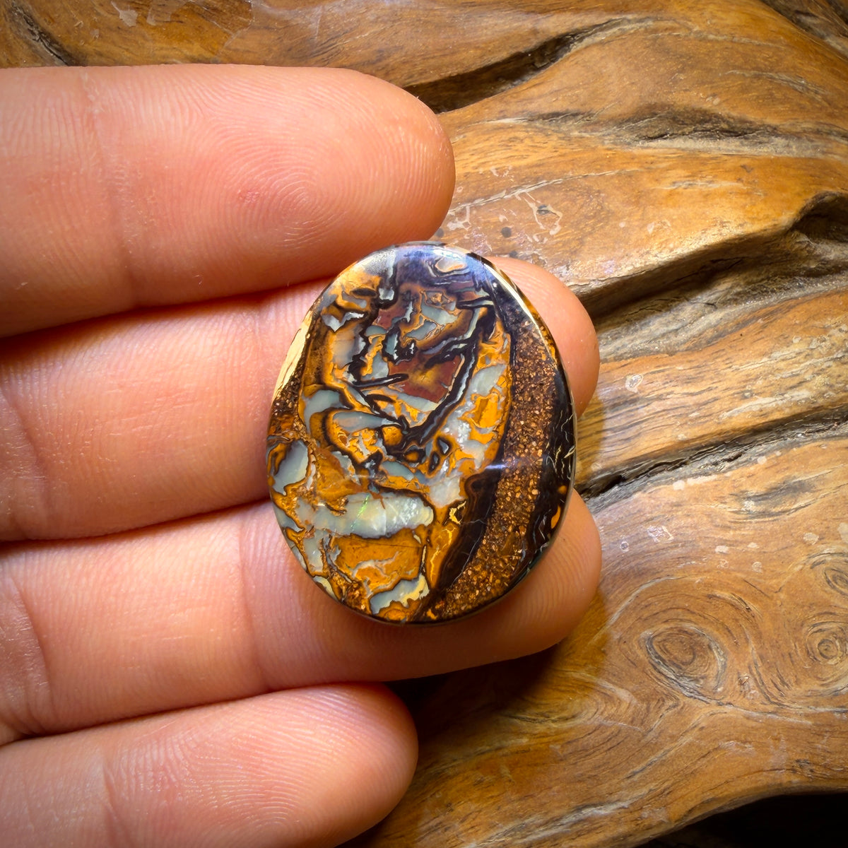 31.1cts - Tribal Queensland Boulder Opal from Yowah