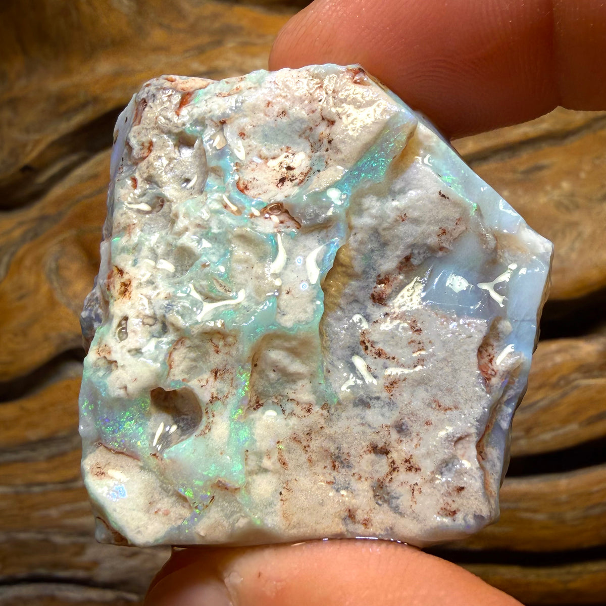 186.1cts - Large Lightning Ridge Dark Opal Rough Piece