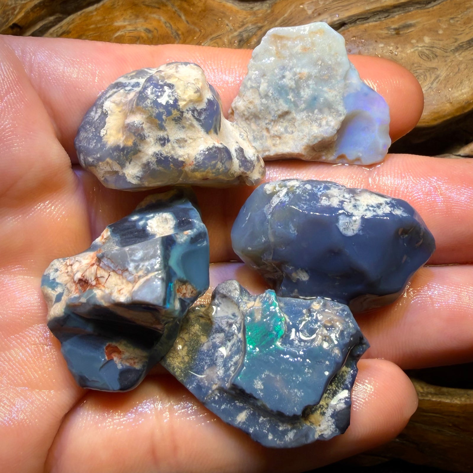 186.6cts - 5x Lightning Ridge Opal Rough Parcel