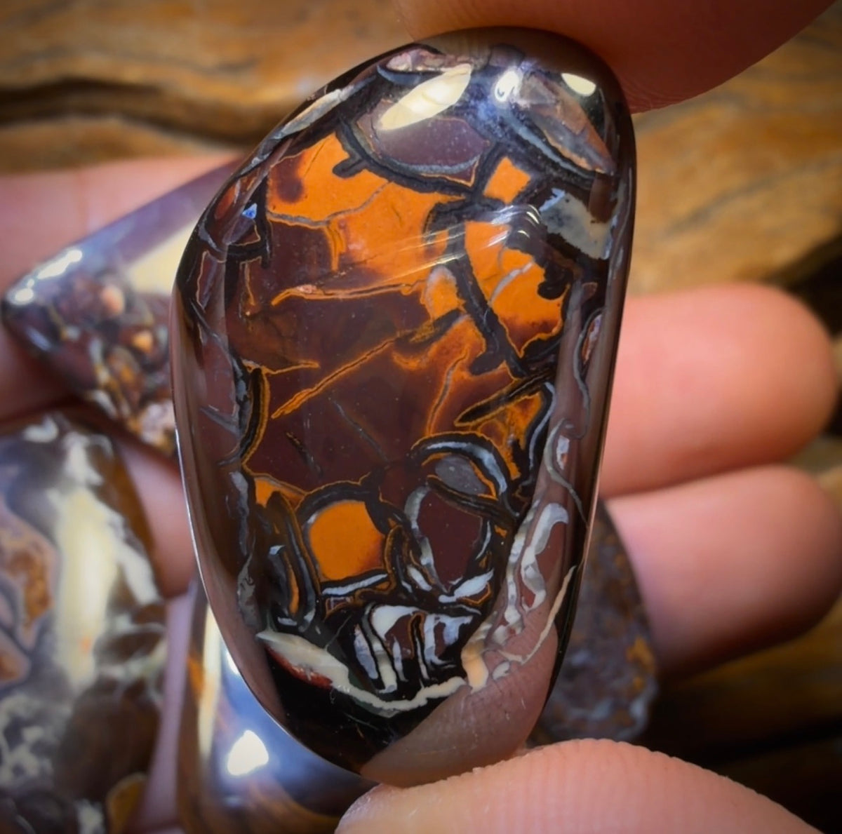 157.2cts - 5x Australian Boulder Opal’s. Wholesale Dealers Parcel