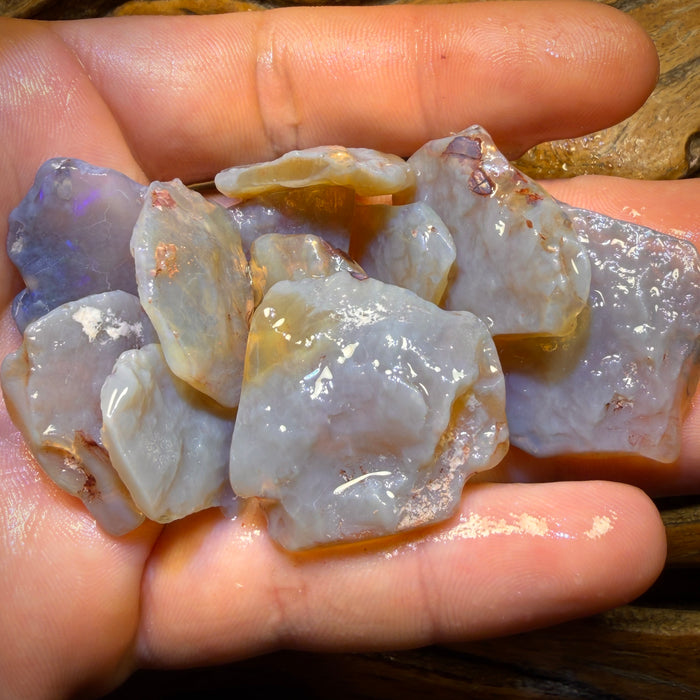 187cts - 11x Lightning Ridge Opal Rough Parcel. Practice Potch