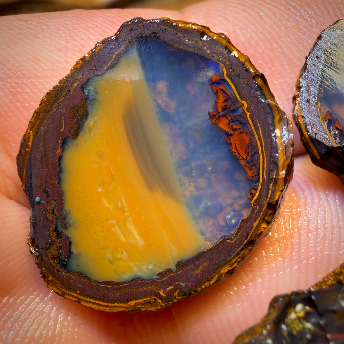 136.3cts - 3x Yowah Nut Crystal Centre Rough Specimen Parcel