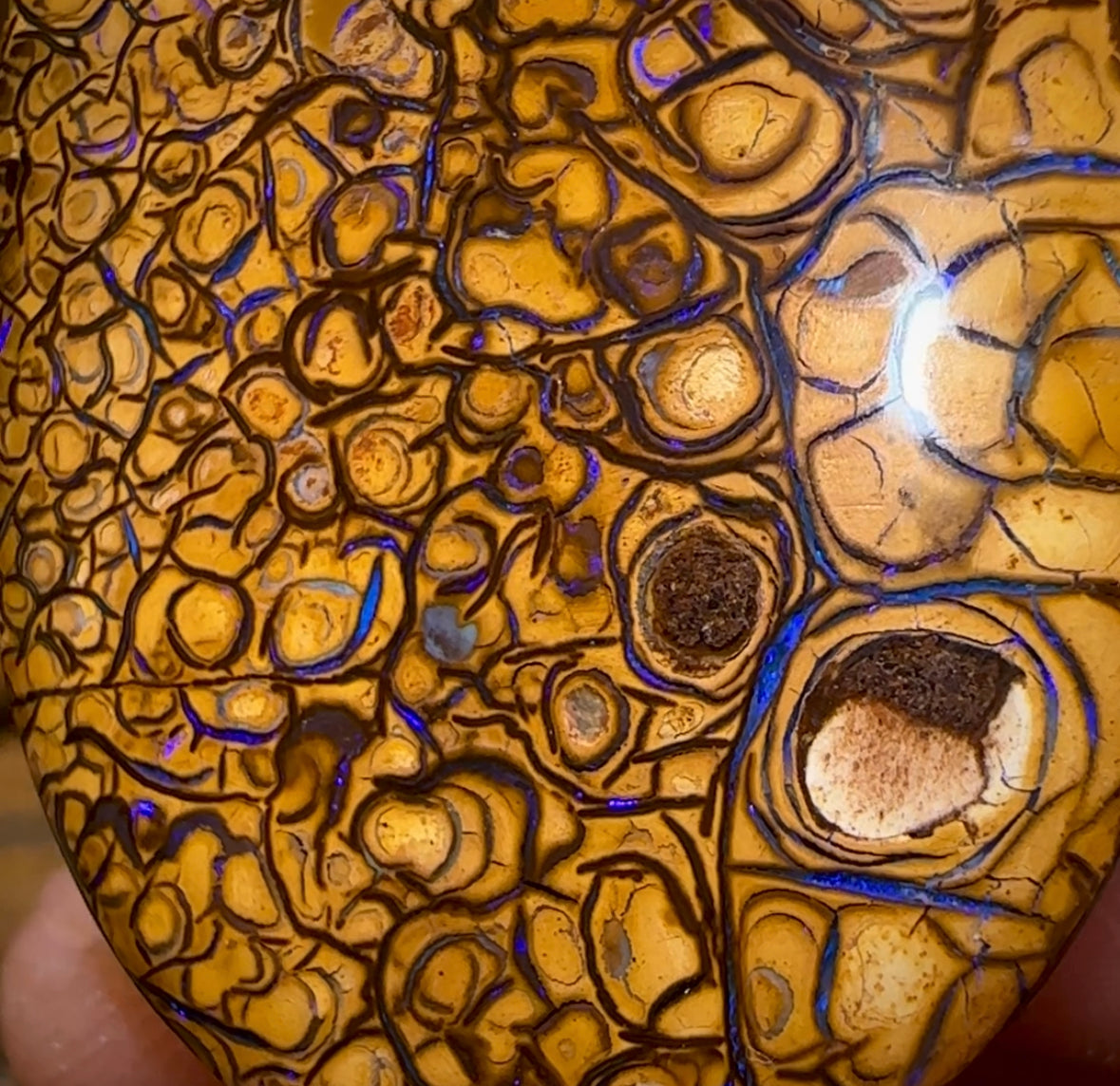 48.7cts - “Pineapple” Yowah Nut Tribal Opal., Double Sided - Opal Whisperers