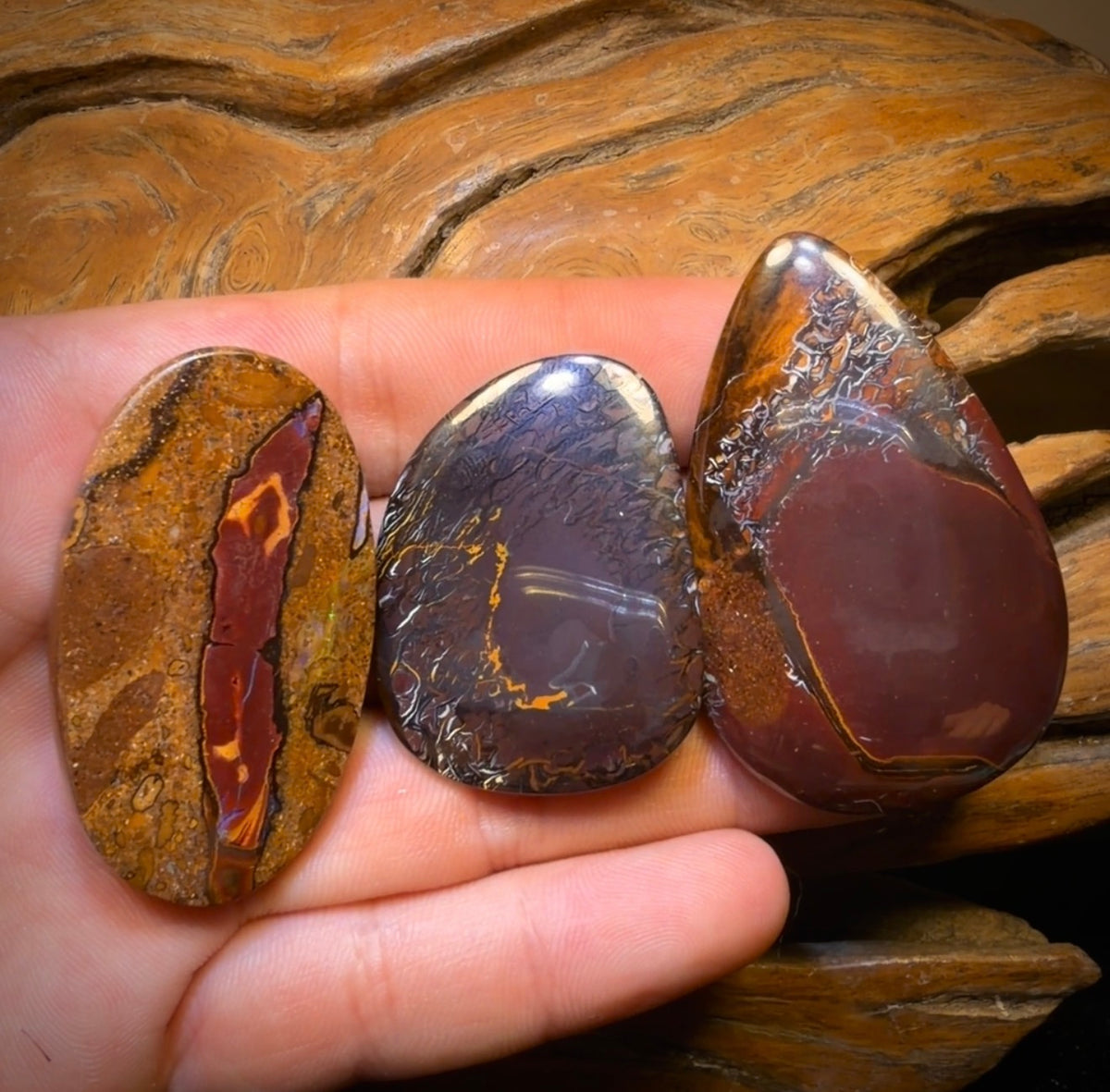 295.1cts - 3x Australian Tribal Boulder Opal’s. Wholesale Dealers Parcel $0.50c/ct