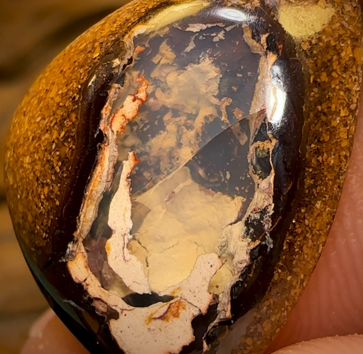 🔨 AUCTION 🔨 15.4cts - Yowah Nut Kernel Opal. Australian Boulder Opal
