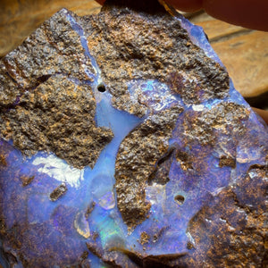 Half Price Card! 776cts - Queensland Boulder Seam Opal Rough Piece Less than 0.50c/ct