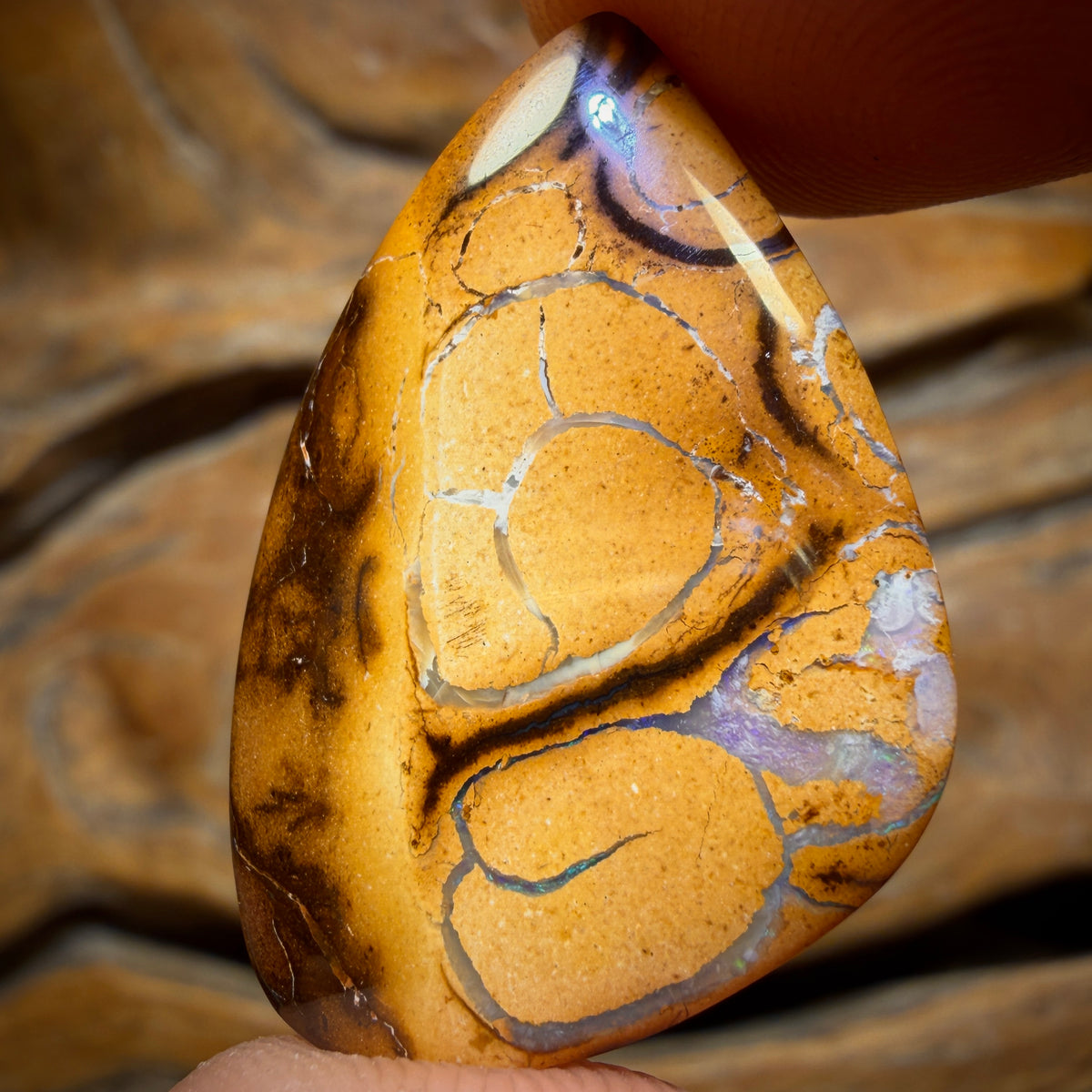 19.1cts - Tribal Yowah Nut Opal. Australian Opal