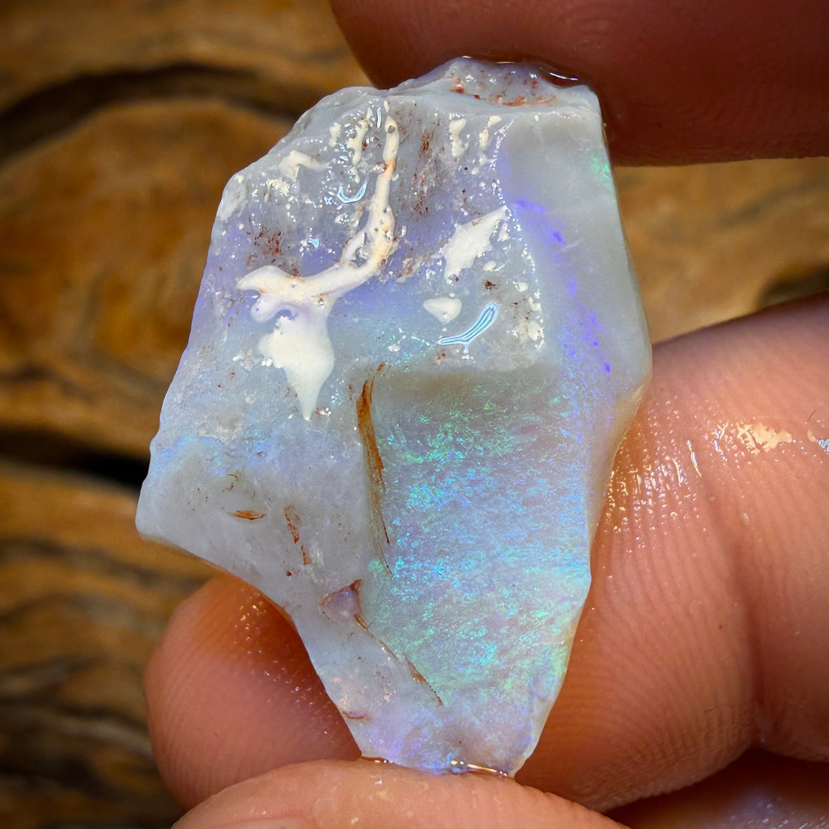 19.3cts - Lightning Ridge Opal Rough Piece