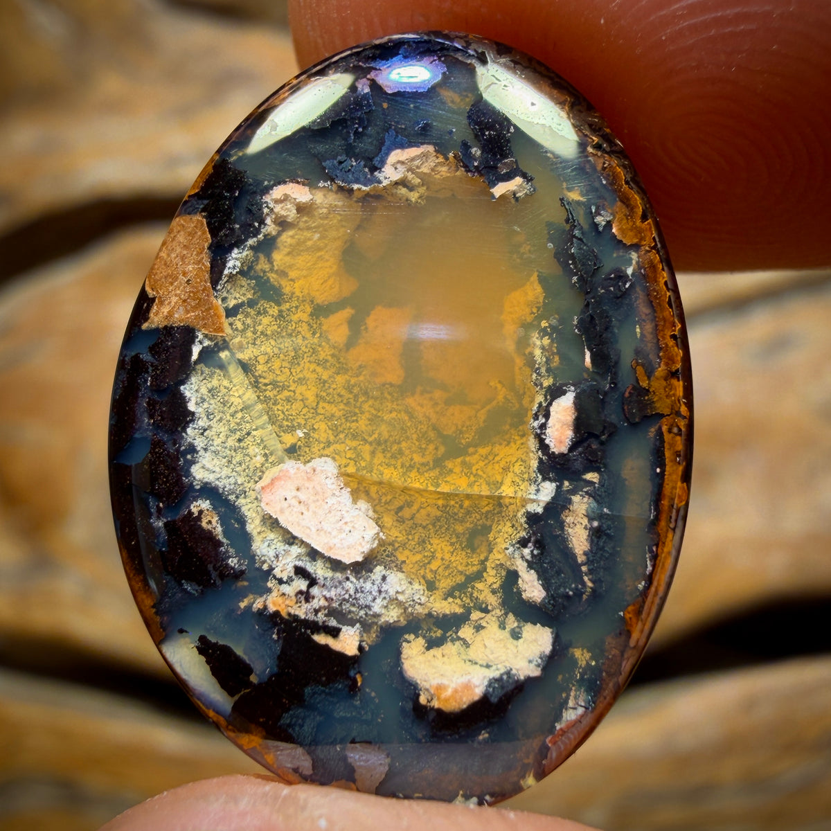 19.5cts - Yowah Nut Crystal Centre Opal. Australian Boulder Opal