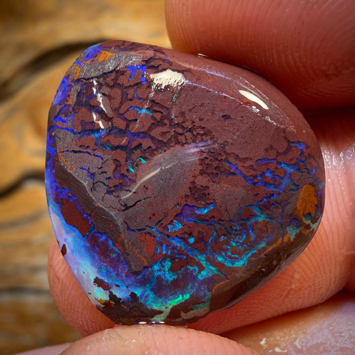 19.7cts - Tribal Yowah Nut Opal Rub