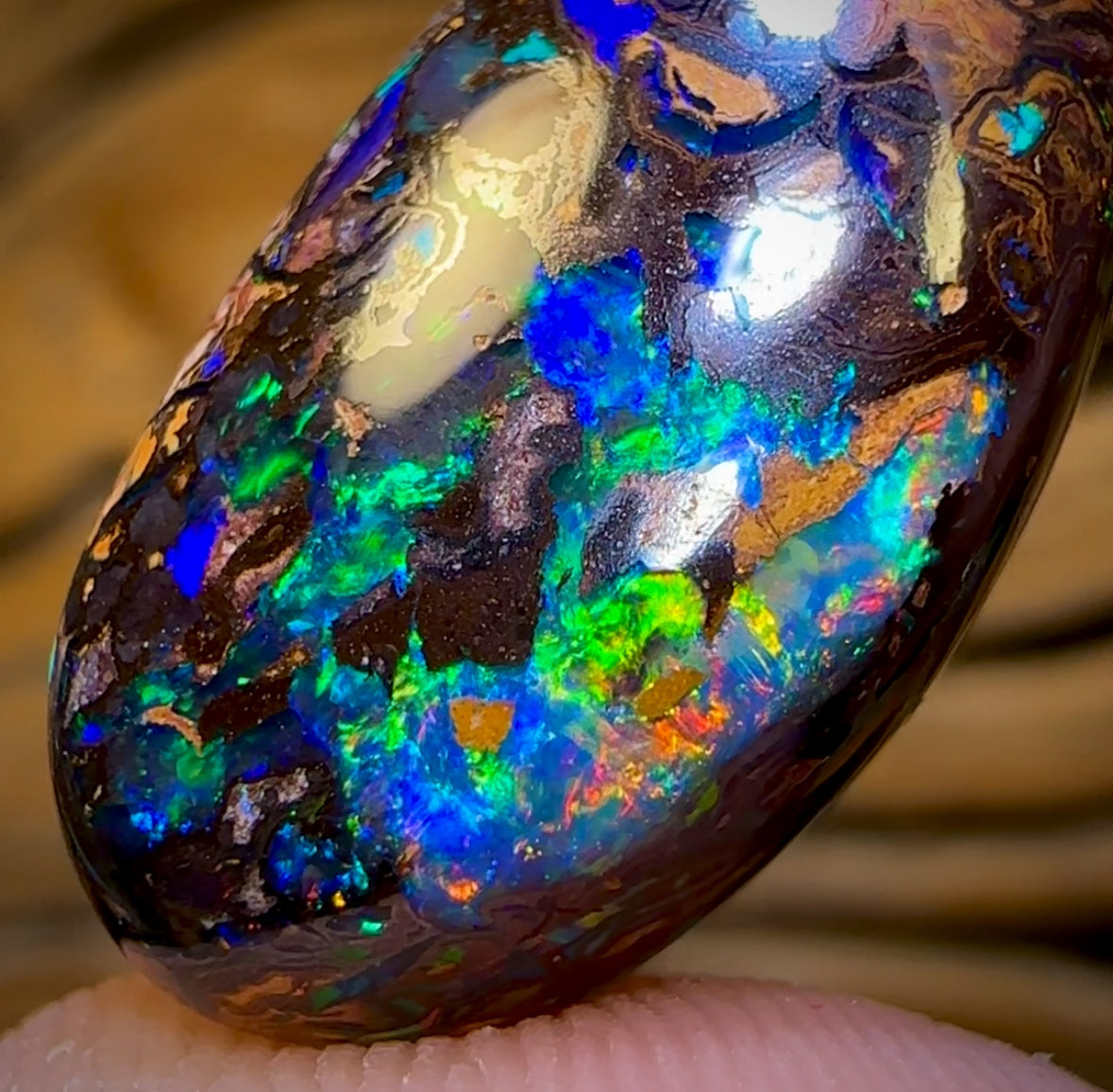 “Set in Stone” - Private Collector Investment - 31.2cts - “Celebrity Stone” TOP GEM Tribal Yowah Nut Opal MULTISIDED! Featured on “Outback Opal Hunters”! (Copy)