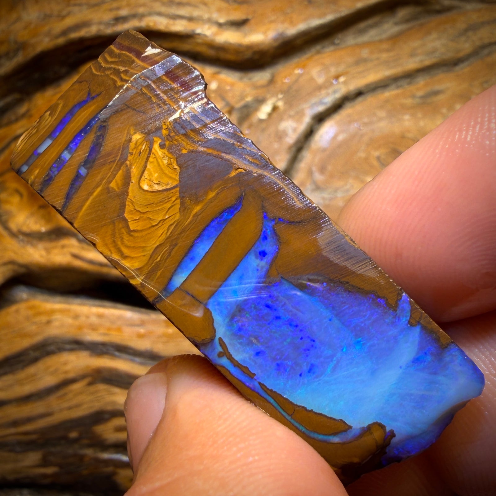 192.2cts - Queensland Boulder Opal Rough Preform from Duck Creek