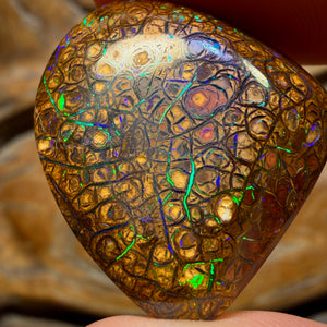 27.3cts - Tan Tribal Queensland Boulder Opal from Yowah. Electric Green