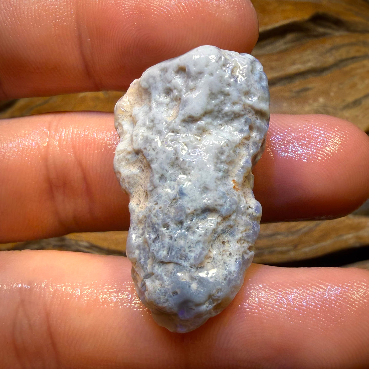 252.3cts - 3x Lightning Ridge Opal Rough Parcel