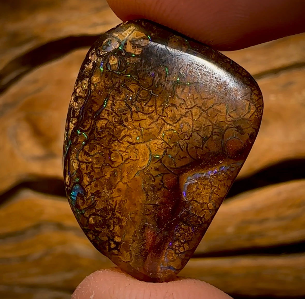 35.3cts - Tribal Queensland Boulder Opal from Yowah
