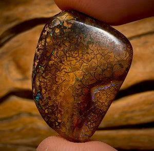 35.3cts - Tribal Queensland Boulder Opal from Yowah
