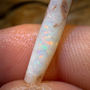 Wild card! 4.6cts - Opalised Belemnite Geological Specimen from South Australia
