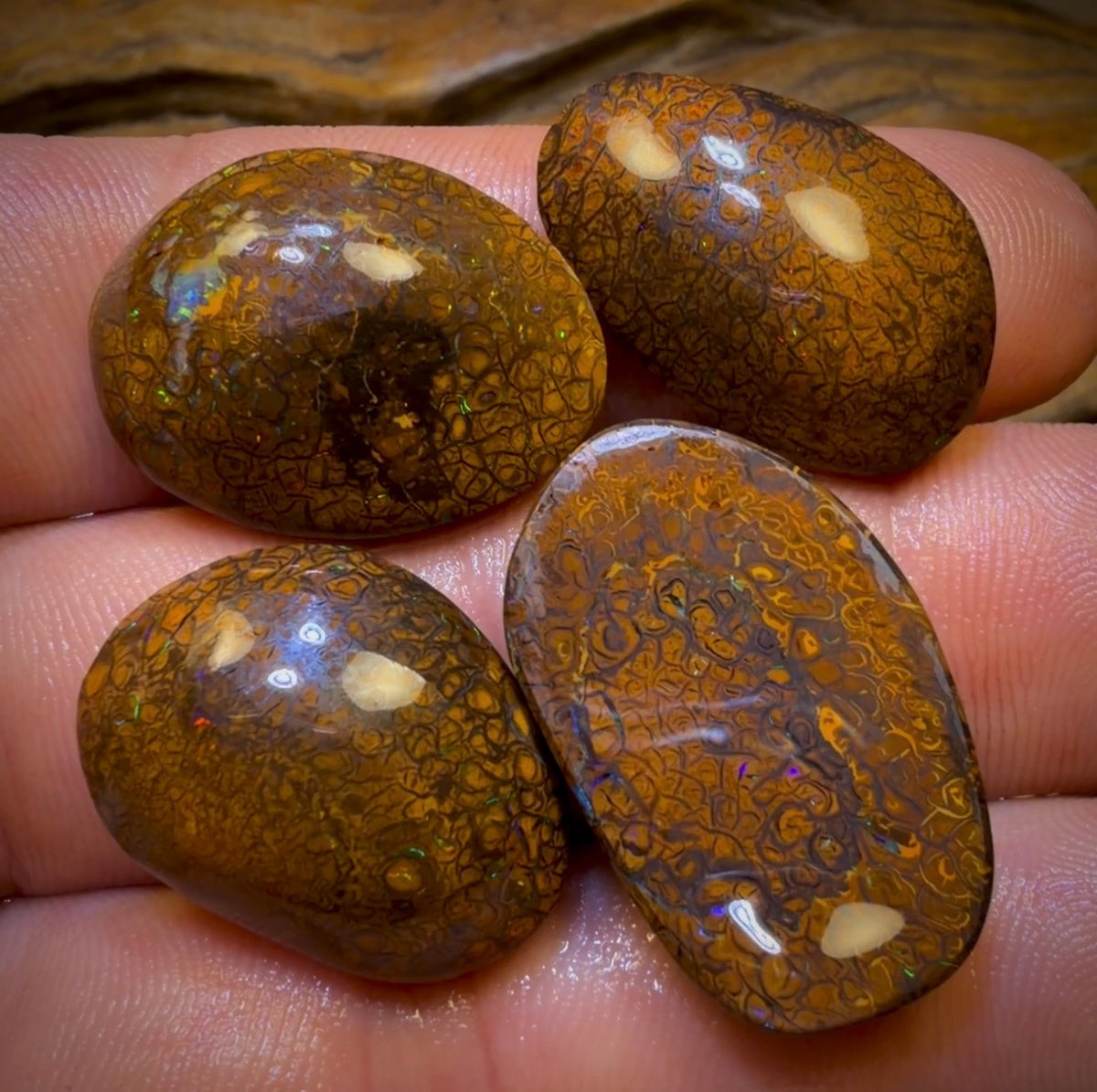 94.5cts- 4x Tribal Queensland Boulder Opal Rubs