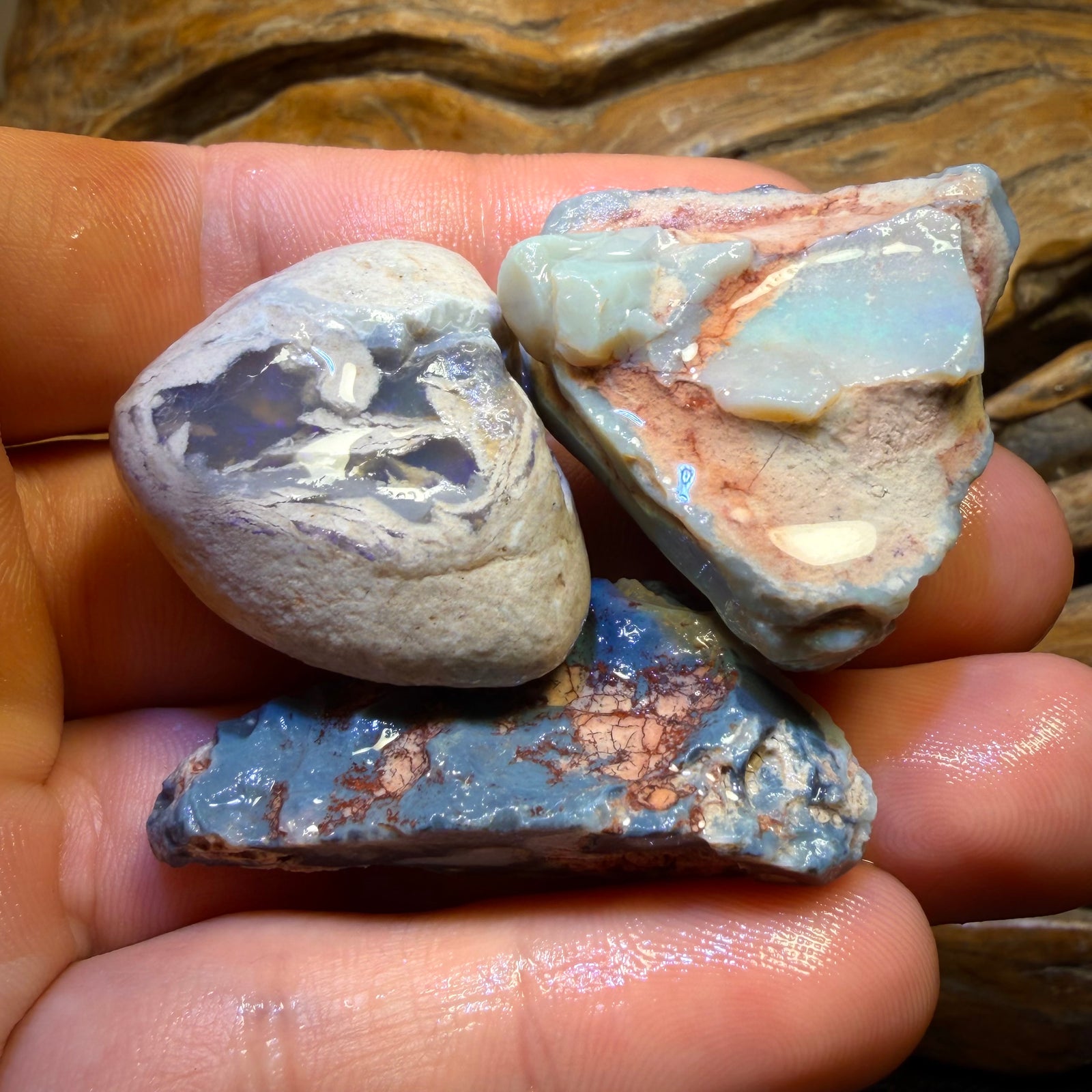 195.8cts - 3x Lightning Ridge Opal Rough Parcel