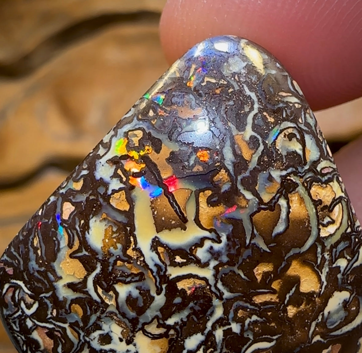 67.1cts - Tribal Queensland Boulder Opal from Koroit - Opal Whisperers