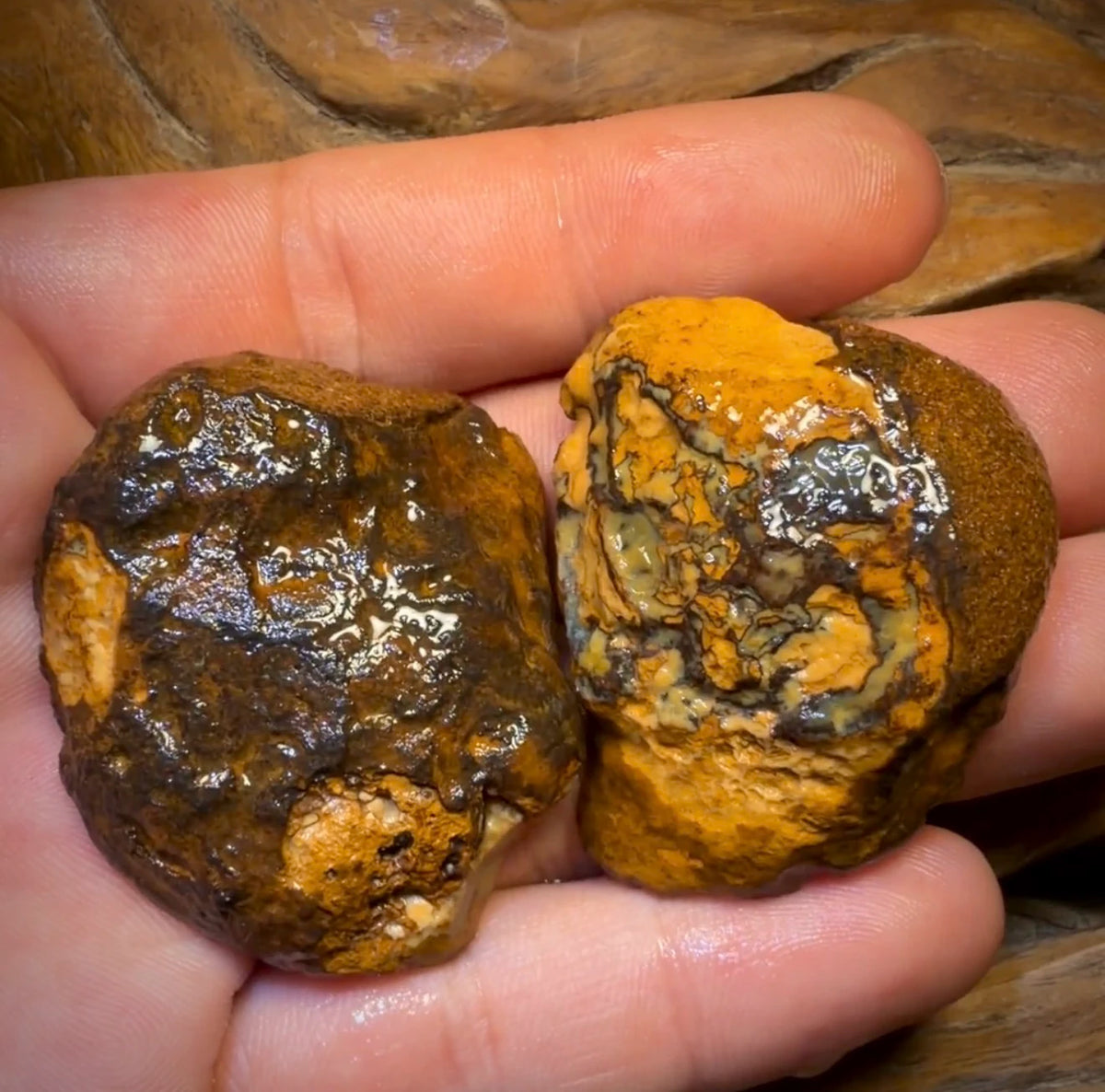 217.1cts - RARE Yowah Nut Crystal Centre Rough Specimen Pair
