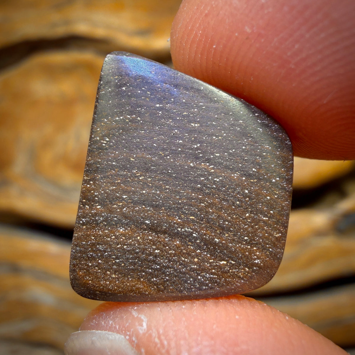 13.1cts - Gem Queensland Boulder Seam Opal