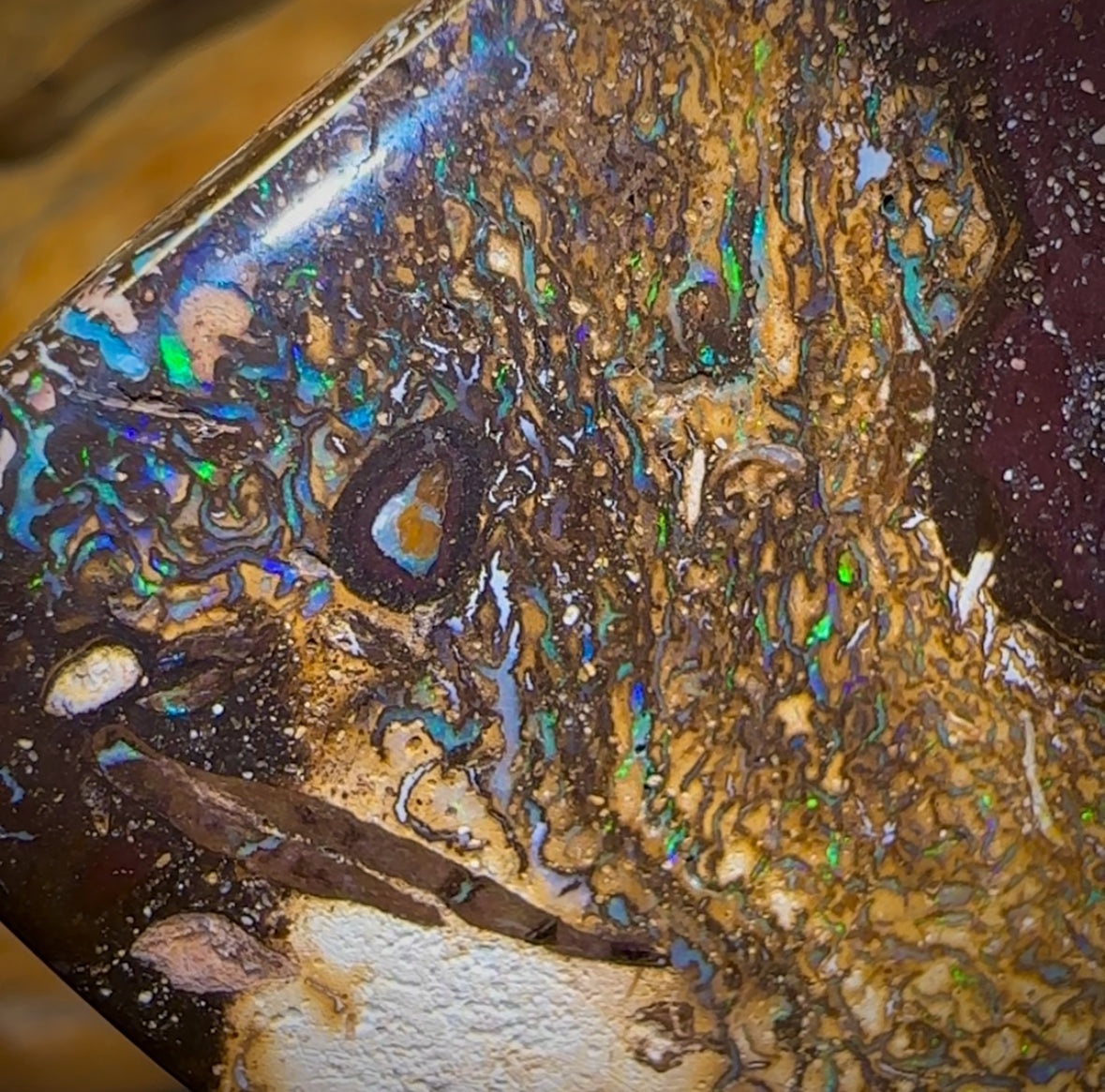 481cts - Vegetation Fossil Queensland Boulder Opal. Polished Specimen