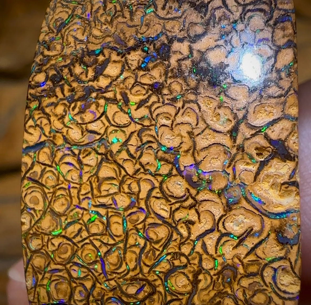 52.3cts - Yowah Nut Tan Tribal Opal. Double Sided - Opal Whisperers