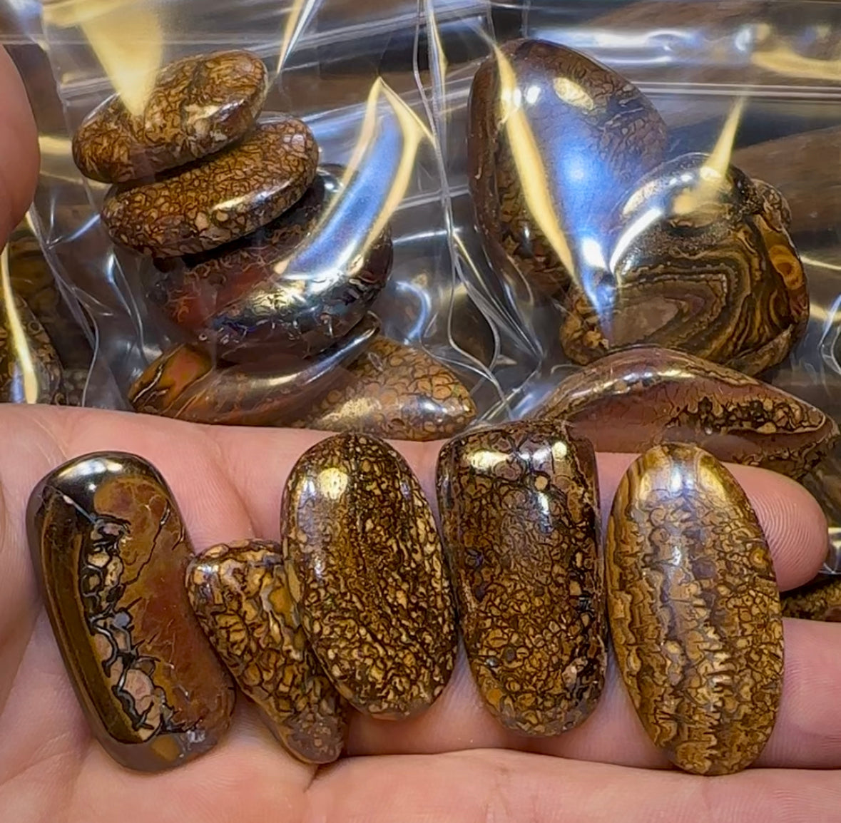 Tribal Boulder Opal Parcel. BULK LISTING - 5 FOR $350 PLUS 6th ONE FREE!!! - Opal Whisperers