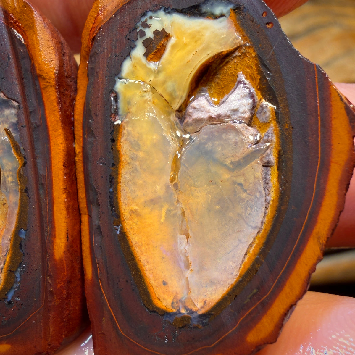 132cts - RARE Yowah Nut Partial Crystal Centre Rough Specimen Pair