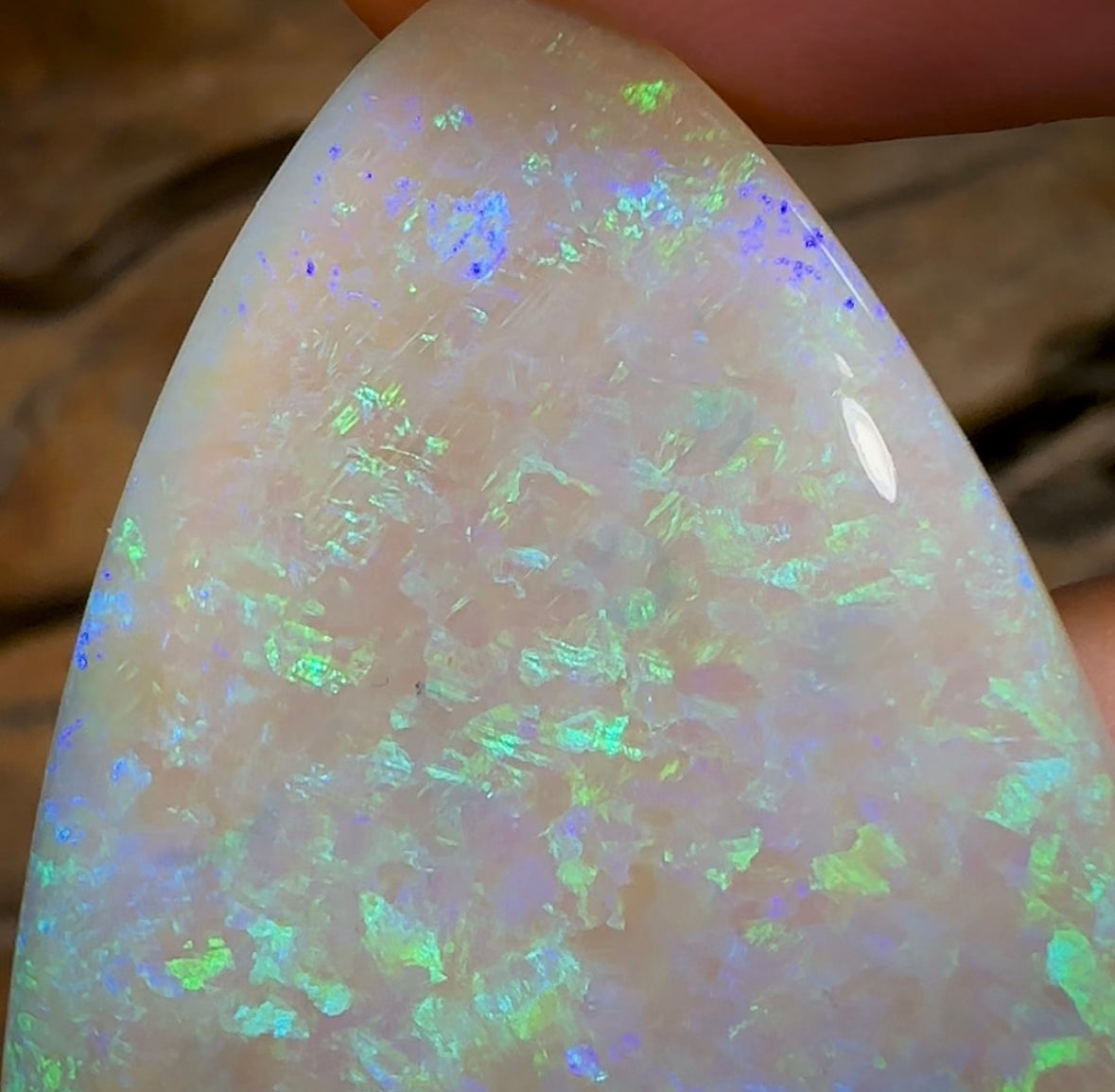 51.5cts - LARGE Heritage Collection South Australian  Crystal Opal - Opal Whisperers