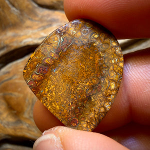 27.3cts - Tan Tribal Queensland Boulder Opal from Yowah. Electric Green