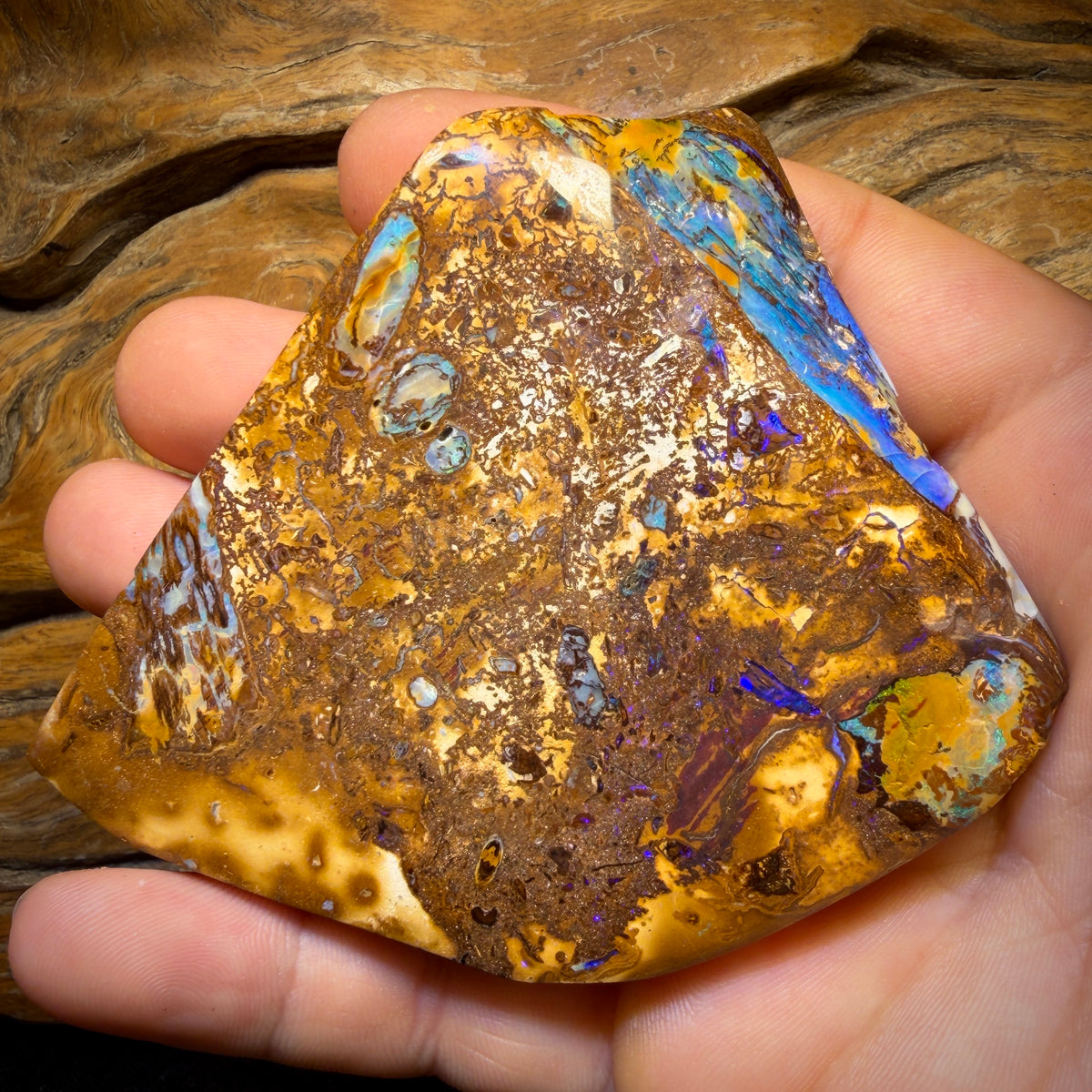 755.5cts - Vegetation Fossil Queensland Boulder Opal. Polished Specimen