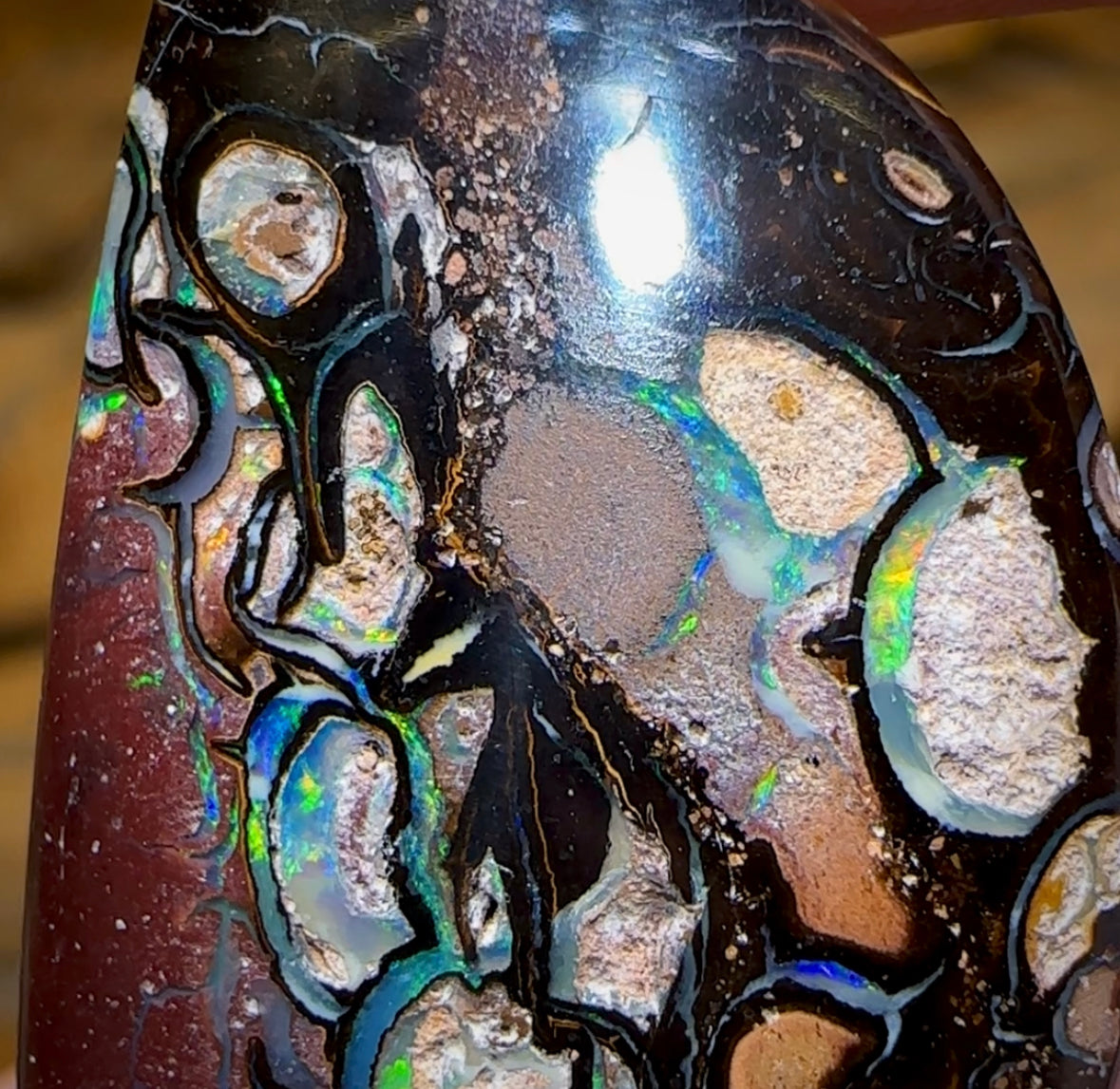 47.8cts - Tribal Koroit Nut Opal. Australian Opal - Opal Whisperers