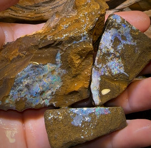 1107cts - 3x Queensland Boulder Opal Rough Parcel from Winton