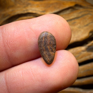 1.45cts - Australian Boulder Opal Doublet