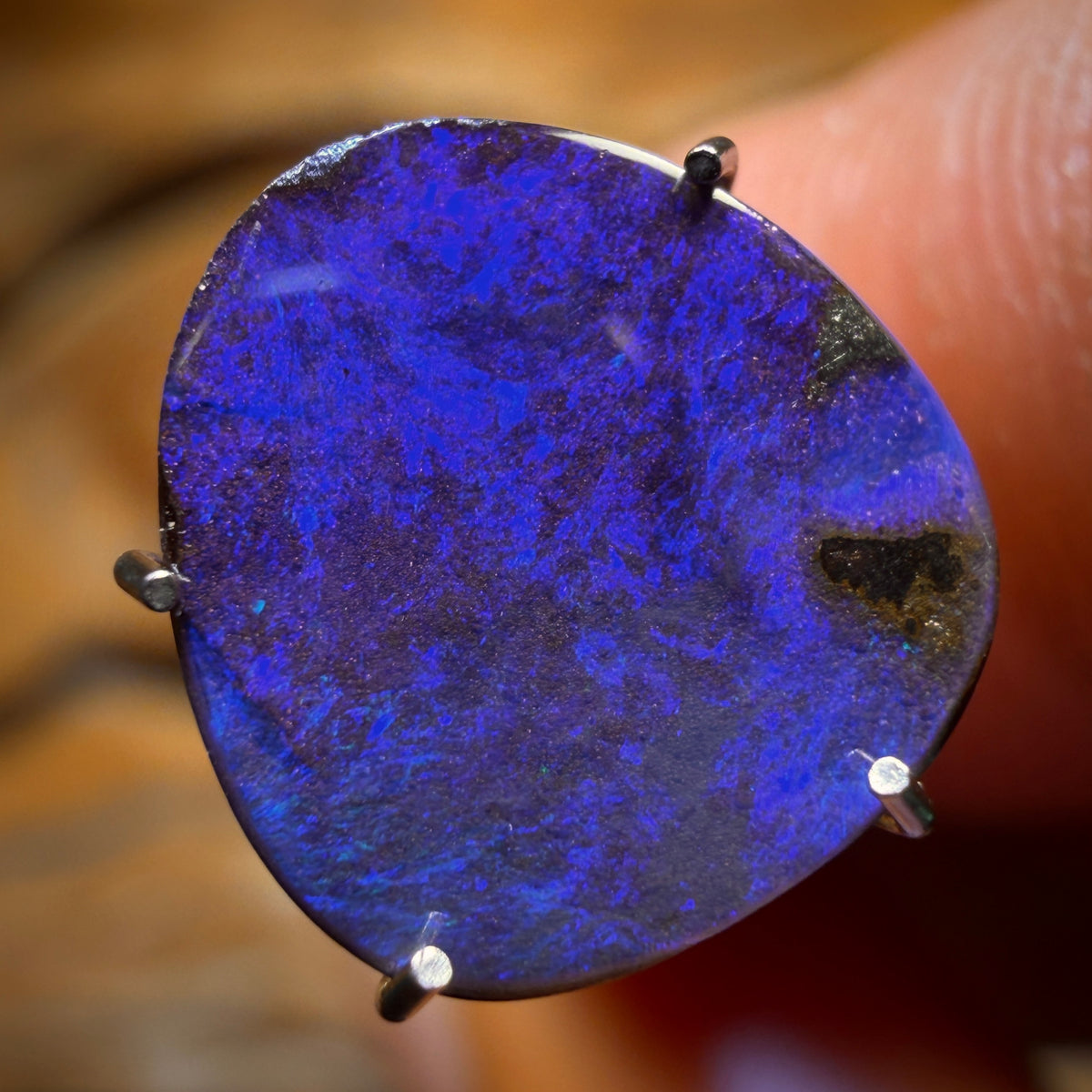 WILDCARD! “Royalty” 2.45cts - Australian Boulder Seam Opal
