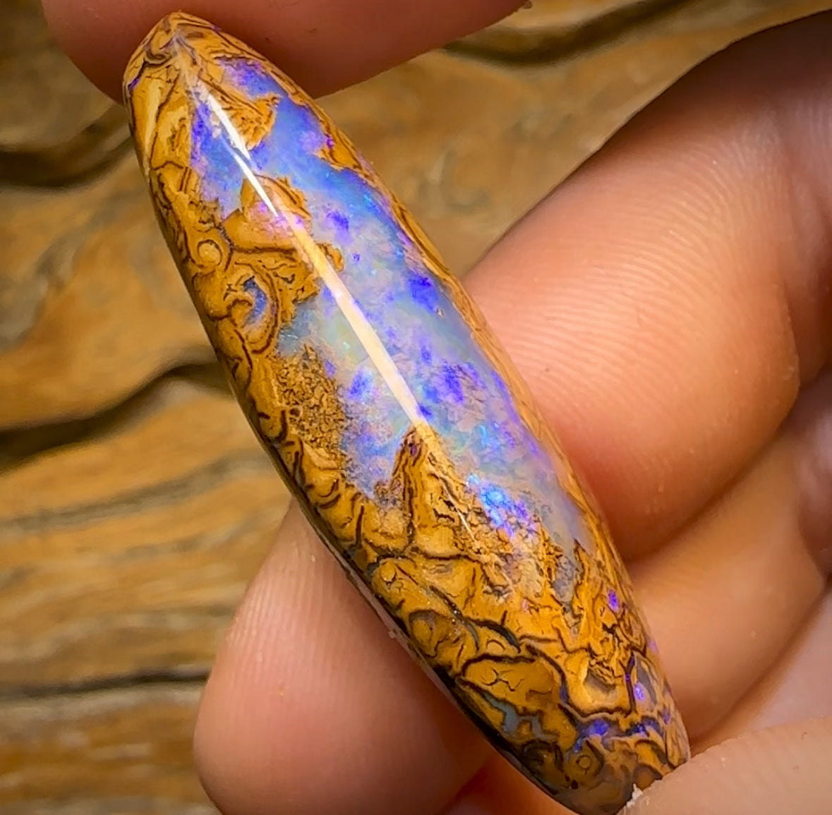 69.2cts - Yowah Nut Tribal Opal w/ Partial Crystal Centre!
