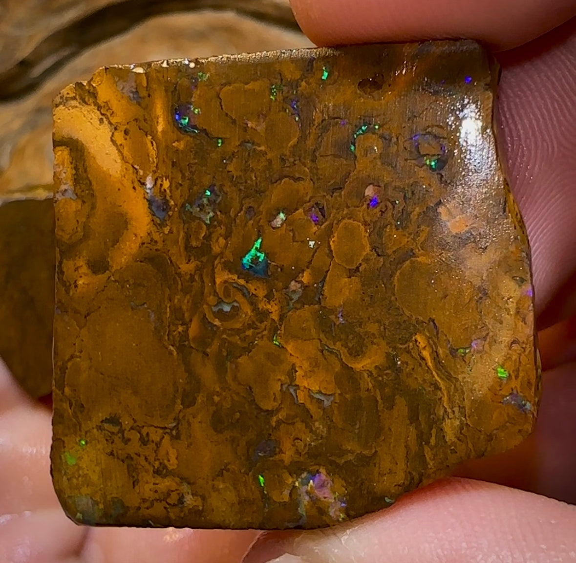 166.9cts - 3x Yowah Nut Rubs. Australian Boulder Opal - Opal Whisperers