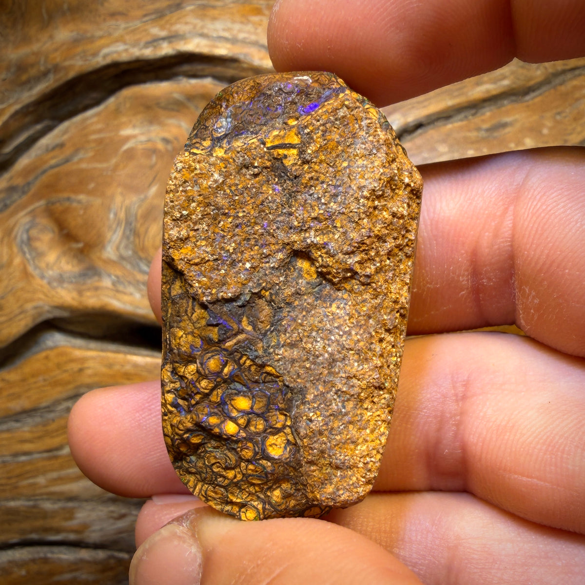 218.7cts - large Tribal Australian Boulder Opal Polished Specimen