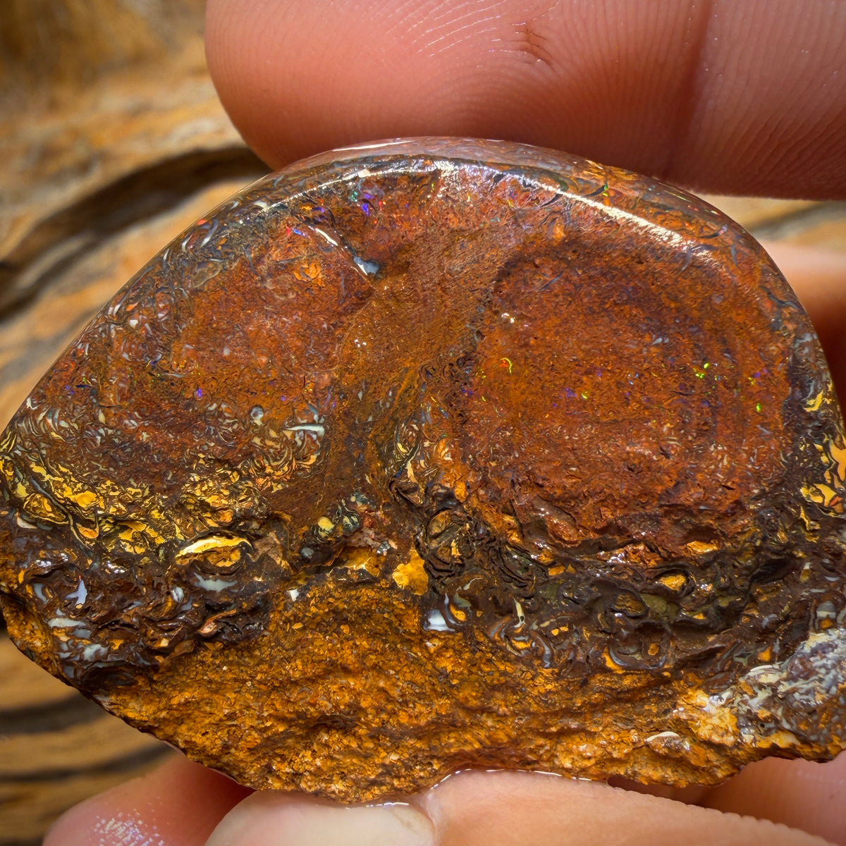 Wild Card! Massive! 457.5cts - Tribal Yowah Nut Opal Rough Piece
