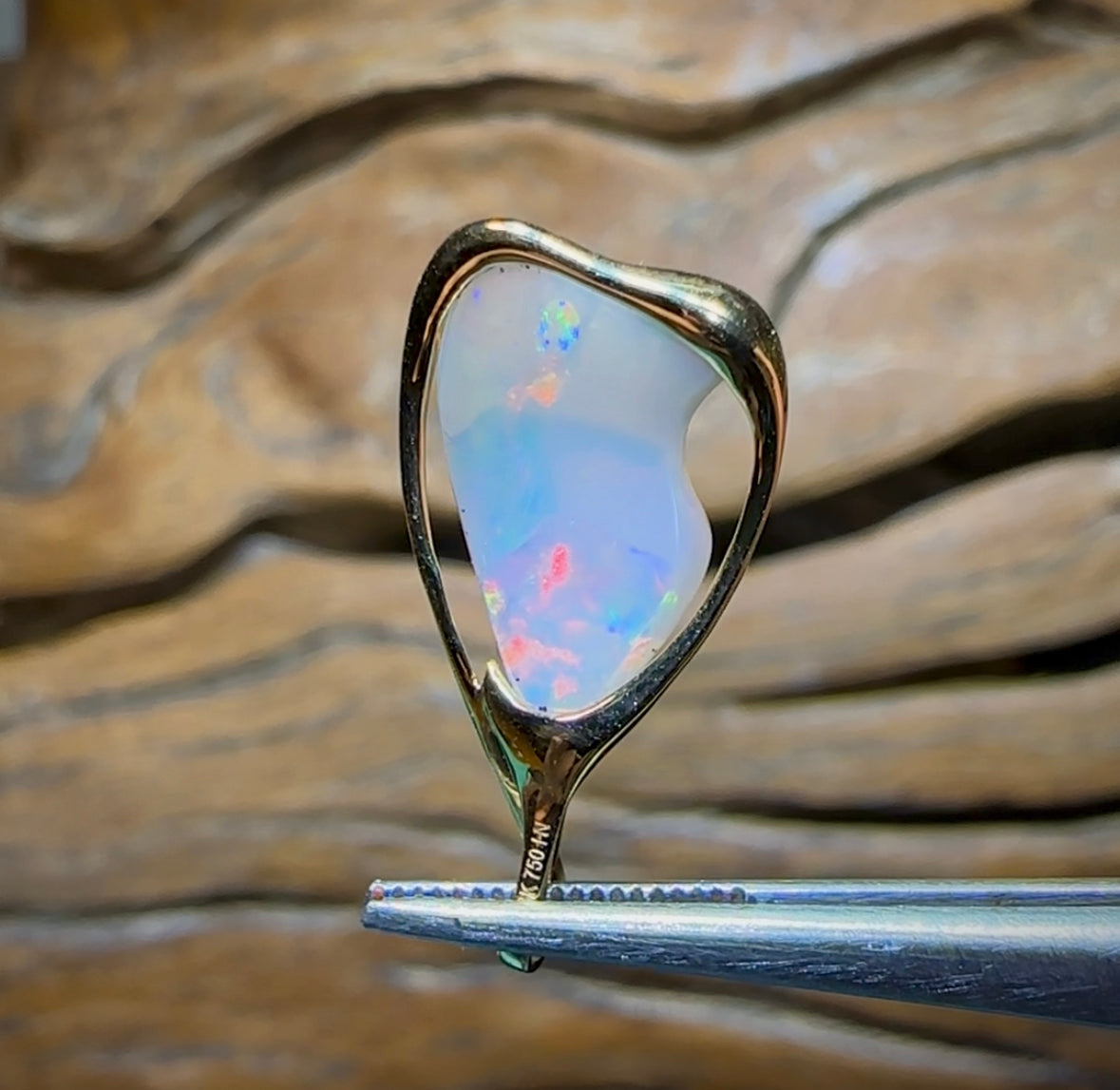 18k Gold - Pippy Shell Opal Fossil Pendant - Opal Whisperers