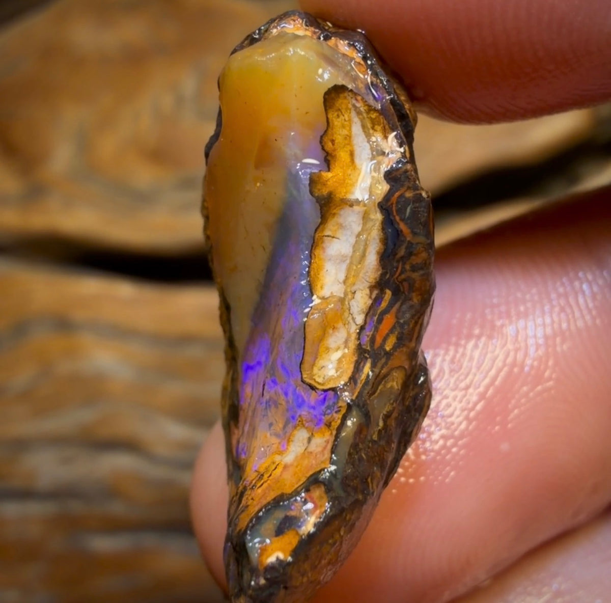 30.4cts - Yowah Nut Crystal Centre Opal Rough Specimen