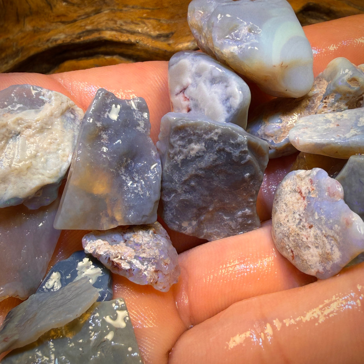 215cts - 19x Lightning Ridge Opal Rough Parcel. Practice Potch