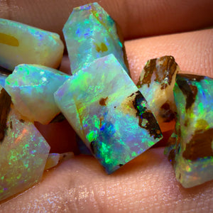 41cts - 10x Australian Yowah Wood Fossil Crystal Opal Rough Pieces. Highly Prized Material